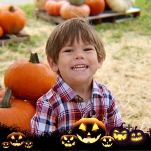 Meet your Posher, Sylvia